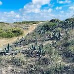 El Papagayo 2 Mins Walking To The Апартаменты