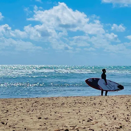 El Papagayo 2 Mins Walking To The Torrevieja