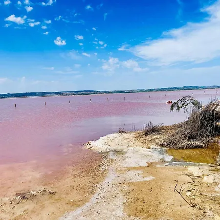 El Papagayo 2 Mins Walking To The Apartman Torrevieja