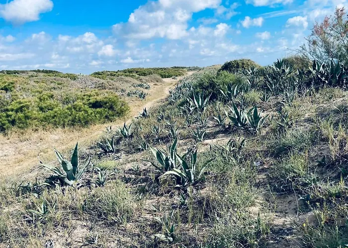 El Papagayo 2 Mins Walking To The 公寓