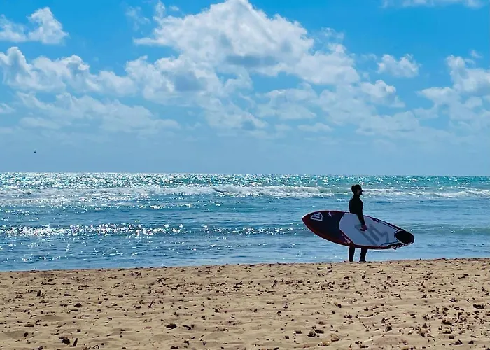 El Papagayo 2 Mins Walking To The Torrevieja