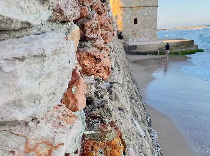 El Papagayo 2 Mins Walking To The Daire *