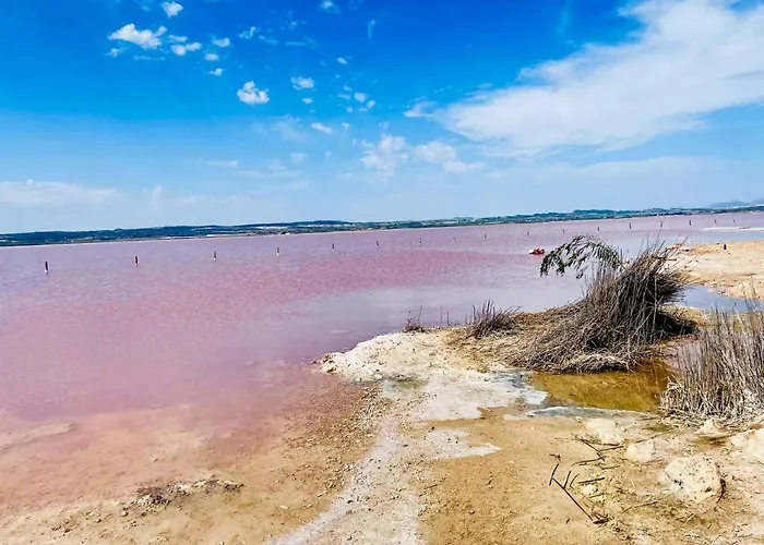 El Papagayo 2 Mins Walking To The Daire Torrevieja